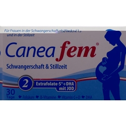 Caneafem 2 Schwangerschaft Stillzeit Kapseln 60 Stück