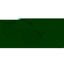 Invu sun reading glasses 1.00dpt B6137a