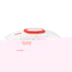 Saniswiss Sanitizer Surfaces S1 Wipes 100 Stück