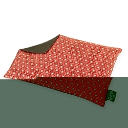 Sky green cherry pit cushion 30x20cm flower red