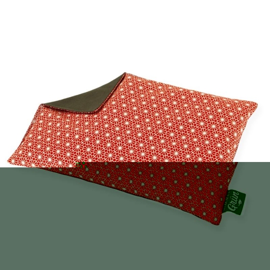 Sky green cherry pit cushion 30x20cm flower red buy online