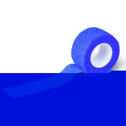 Fiwa Flex Pflasterbinde Haft Elastisch 2.5cmx4.5m Blau