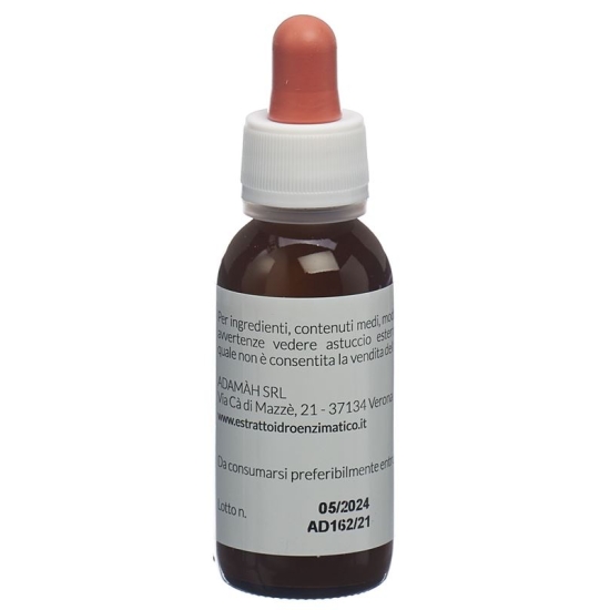 Adamah Eie-Lip Ox Flasche 60ml buy online