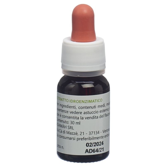 Adamah Eie Immunedi Flasche 30ml buy online