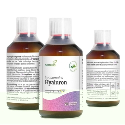 Sanasis Hyaluron Liposomal Flasche 250ml