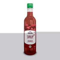 Holderhof Himbeersirup Bio Pet 5dl