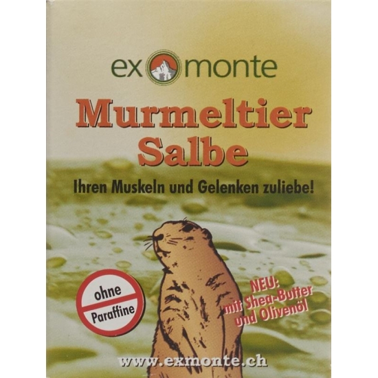 Exmonte Murmeltier Salbe Topf 100ml buy online