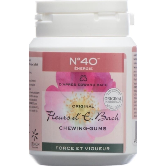 Dr. Bach Kaugummi für Energie Dose 60g buy online