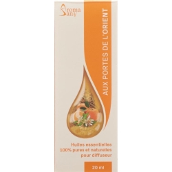 Aromasan Düfte für Zerstäuber Pforte Orients 20ml