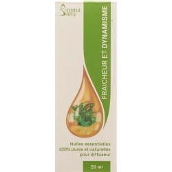Aromasan Düfte für Zerstäuber Frisch&lebenskr 20ml