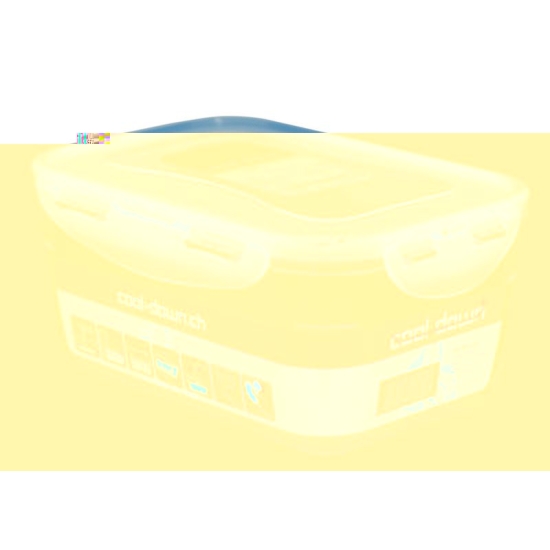 Cool Down food storage container 1800ml buy online