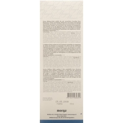 Morga Wellness Drink Eisen 380ml