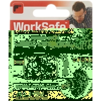 Alpine Worksafe earplugs 1 pair