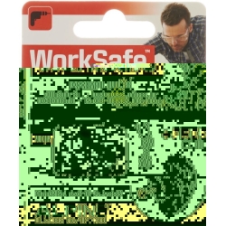 Alpine Worksafe earplugs 1 pair
