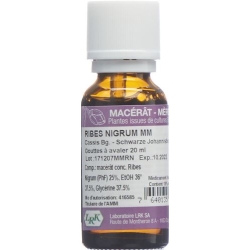 Lrk Mutter Mazerat Sch. Johannisb Tropfen 20ml