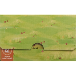 Holle Organic Fruit Bar Apple Pear 20 x 25 g