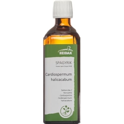 HEIDAK Spagyrik Cardiospermum halicacabum Fl 250 ml
