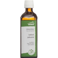 HEIDAK Ledum palustre Spagyrik Fl 250 ml