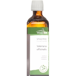 HEIDAK Spagyrik Valeriana officinalis Bottle 250 ml