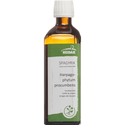 HEIDAK Spagyrik Harpagophytum procumbens Fl 250 ml