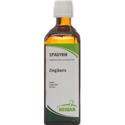 HEIDAK Spagyrik Zingiber officinale Bottle 250 ml