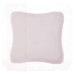 Allevyn Gentle Border Lite Wundverband 10x10cm 10 Stück