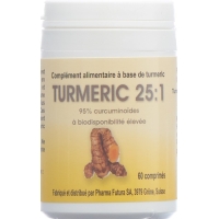 Turmeric 25:1 Tabletten 250mg 60 Stück