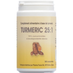 Turmeric 25:1 Tabletten 250mg 300 Stück