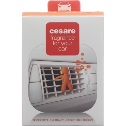 Joy Duftmaennchen Auto Cesare Orange Energy