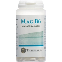 Mag B6 Kapseln 120 Stück