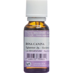 Lrk Mutter Mazerat Heckenrose Tropfen 20ml