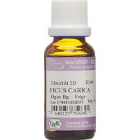 Lrk Mutter Mazerat Feige Tropfen D 1 20ml