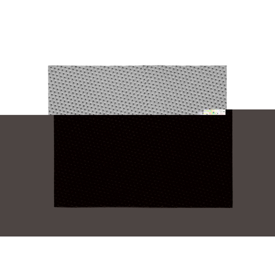 Mepilex Transfer Ag drainage bandage 20x50cm 2 pc