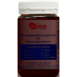 Dr. Wolz microorganisms Kaps 120 pcs