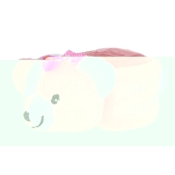 Alpha Nova BB Bobo pink + ice