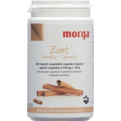 Morga cinnamon Vegicaps 300 pcs