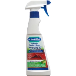 Dr Beckmann Gallseife spot spray Fl 250 ml