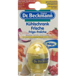 Dr Beckmann refrigerator fresh lime 40 g