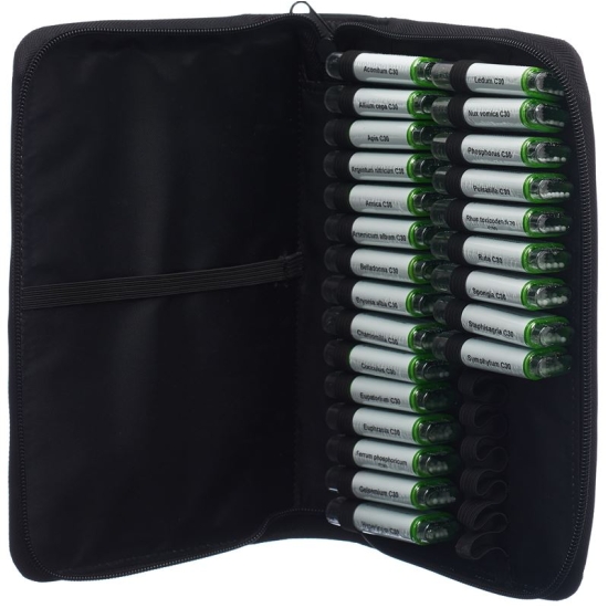 Spagyros family pharmacy case Glob C 30 multi-click 24 x 1 g
