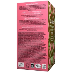 Pukka Menthe Réglisse et poivrée Thé bio Btl 20 pcs