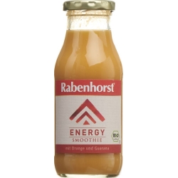 Rabenhorst Smoothie Energy Bio Fl 240 ml