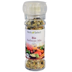 Morga Barbecue mix Bio 45 g