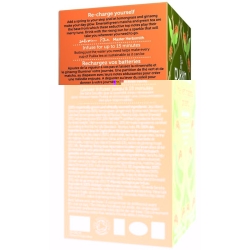 Pukka The Vert Matcha Ginseng The Bio Beutel 20 Stück