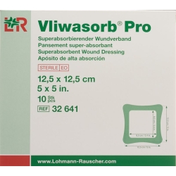 Vliwasorb Pro Wundverband 12.5x12.5cm 10 Stück