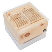 Stone pine fan Cube Mini