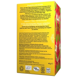 Pukka Revital Tee Bio Beutel 20 Stück