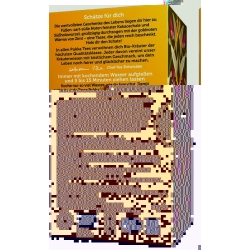Pukka Cacao Chai Tee Bio Beutel 20 Stück