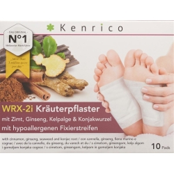 Kenrico Kräuterpflaster Zimt Gins Kelp Konj 10 Stück