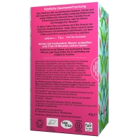 Pukka Mint Refresh Tee Bio Beutel 20 Stück