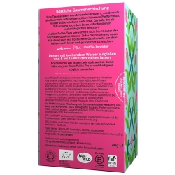 Pukka Mint Refresh Tee Bio Beutel 20 Stück